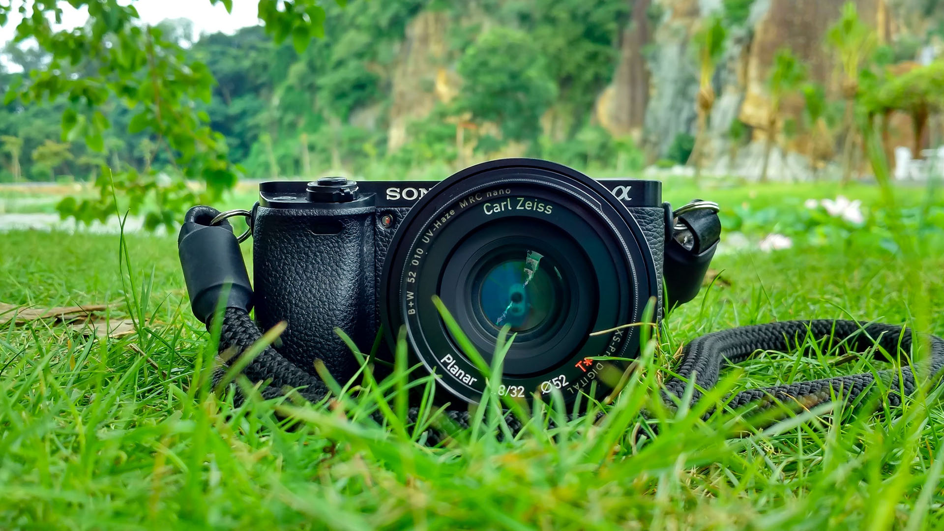 Creative image of a camera in the grass.